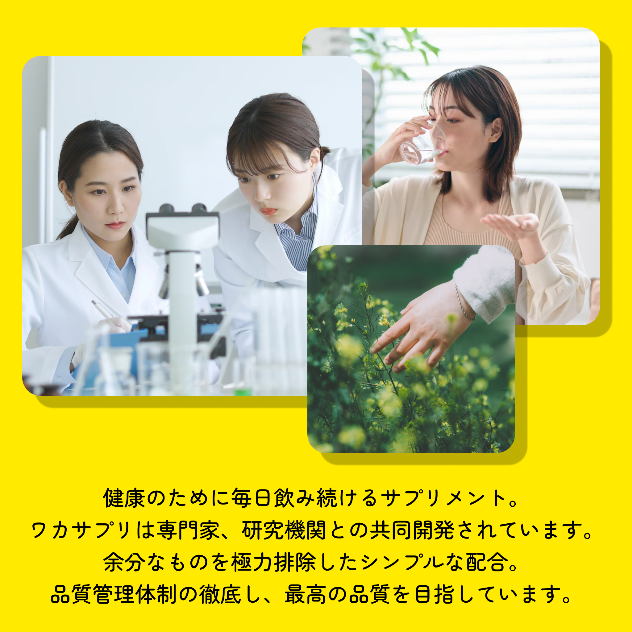 マンジャロ GIP/GLP1注射2.5mg＋ワカサプリ キャンペーンセット